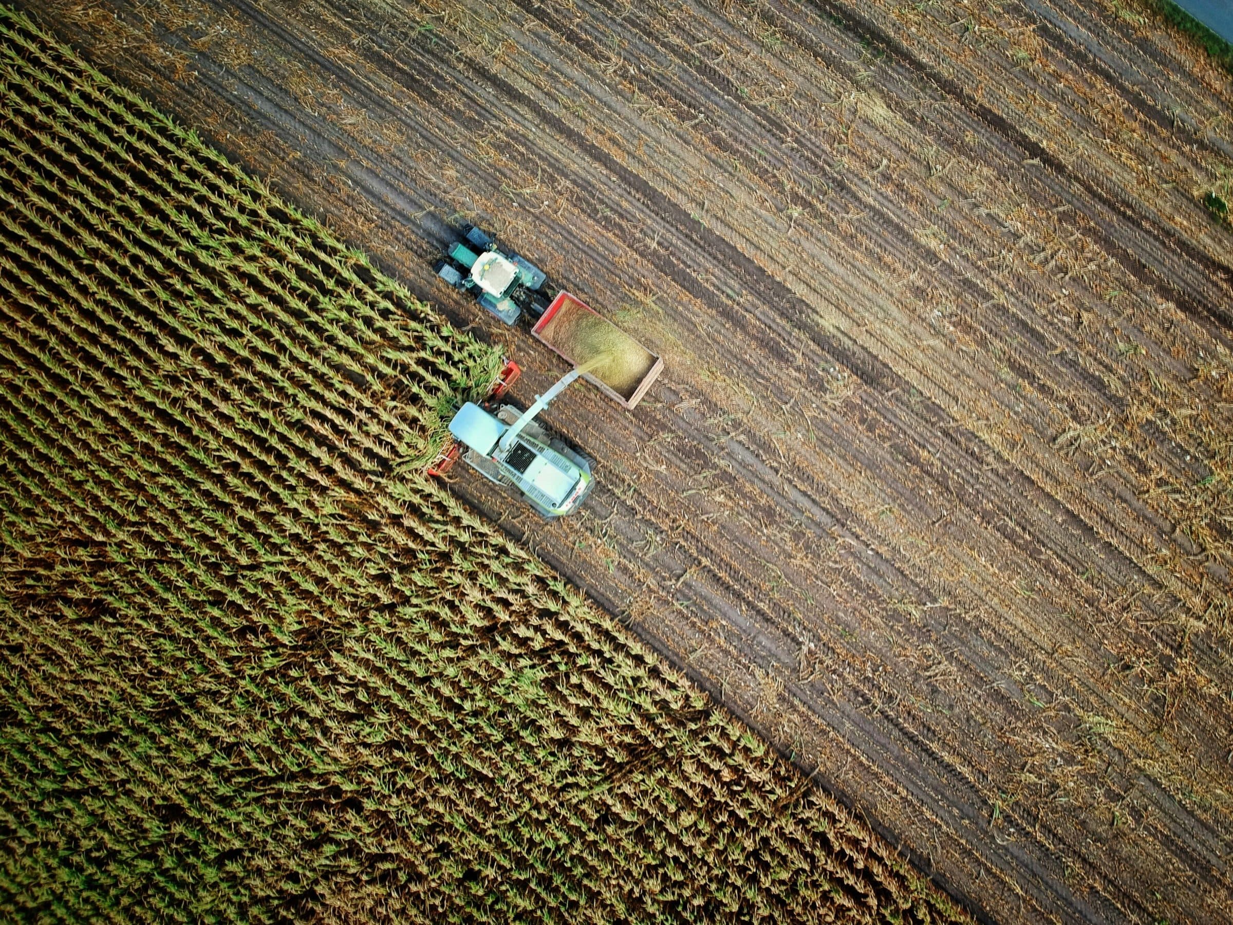 Womit beschäftigen sich Agtech-Startups?