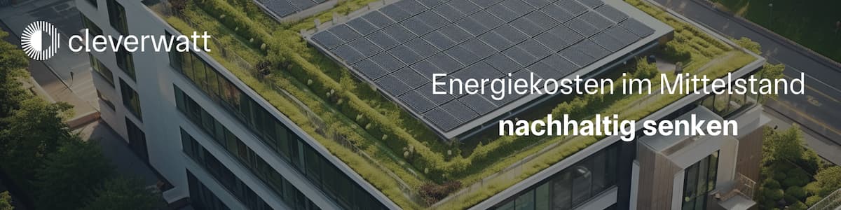cleverwatt