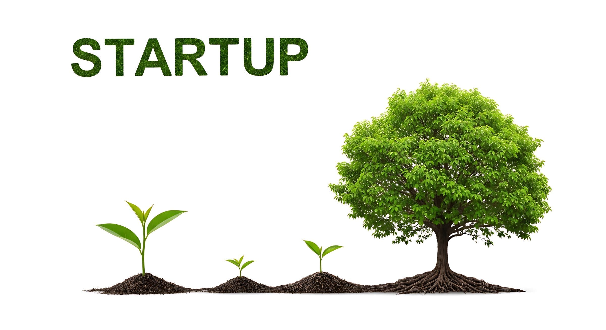Green Startup Report 2026 zeigt wachsende Szene bei sinkender Gründungsdynamik
