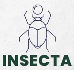 Insecta